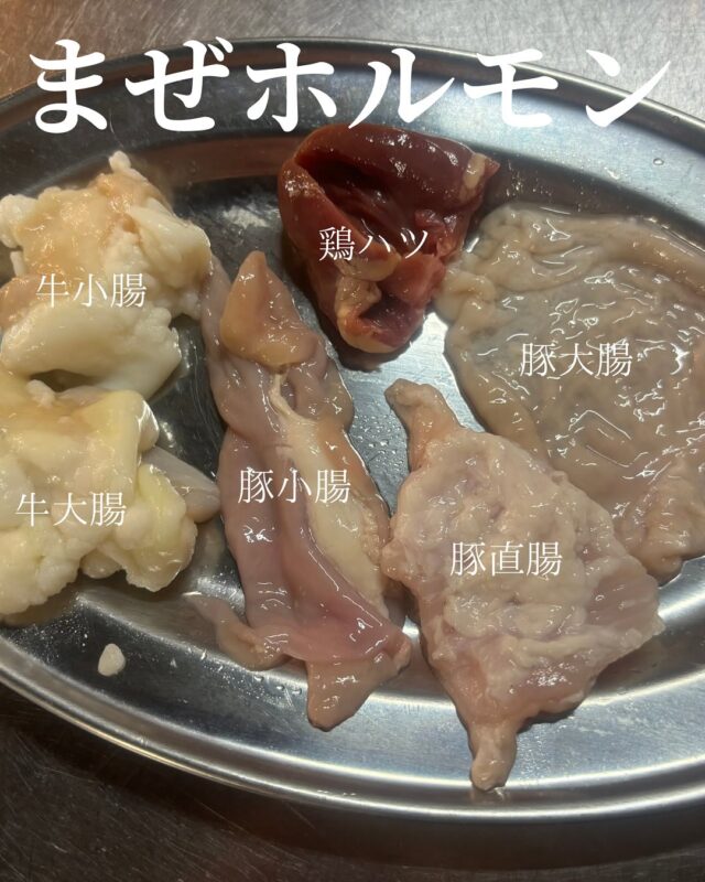 にんにく唐がらしオススメのまぜホルモンです！
6種類のホルモンが入っていて580円！！
ホルモンとお酒の相性抜群ですので、ぜひ食べに来てください🙂