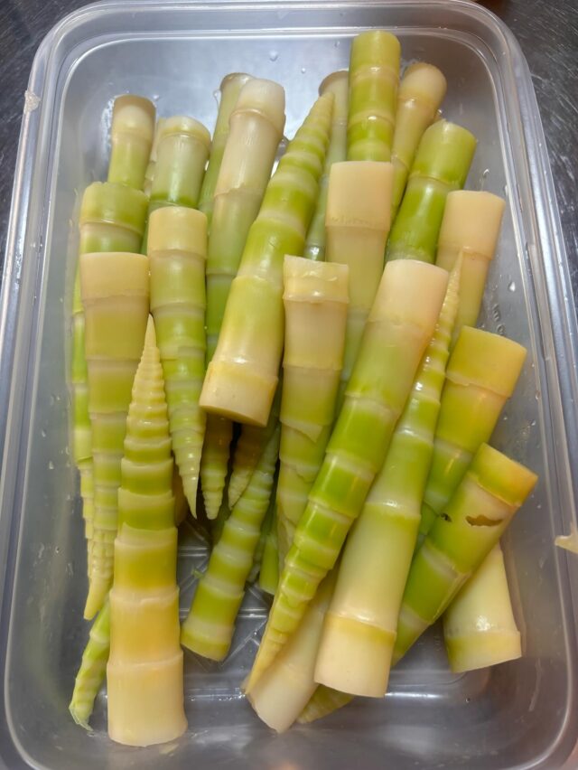 タケノコ数量限定でありますよー！
3本で350円！
お早めに！